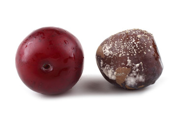 Plum and rotten plum