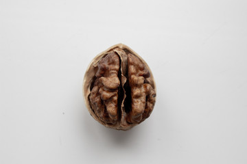 Walnut close - up isolated on a white background.