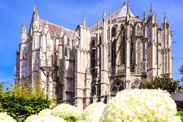 The Cathedral of Saint Peter of Beauvais, Roman Catholic church is of the Gothic style in the...