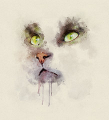 Watercolor portrait illustration of a domestic cat