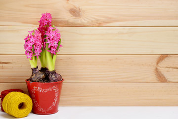Blooming pink hyacinths in a red pot with a heart pattern, on a pine color wooden background, with space for text.