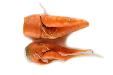 Funny ugly carrots peple