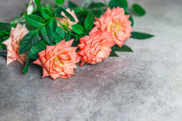 Bouquet of roses on a concrete background. Macro. Copy space.