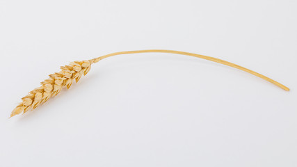 Spikelets and wheat grains on a white background,
