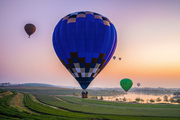 Hot-air balloons flying in colorful sky. Hot air balloons flies against orange sky in the morning