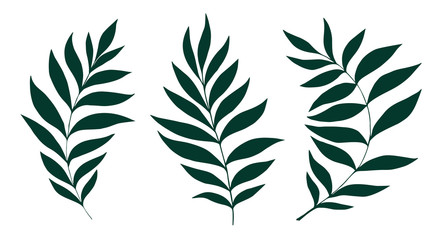 Vector leaves set. Botanical illustration. Hand drawn leaf. Spring set