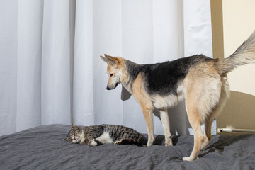 Fototapety na wymiar - Fototapeta24.pl