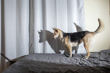 Fototapety na wymiar - Fototapeta24.pl