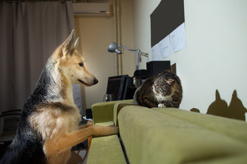 Fototapety na wymiar - Fototapeta24.pl