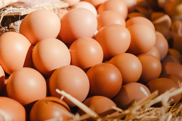 fresh eggs at the market.