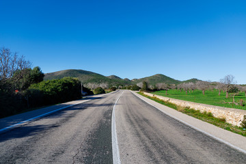 The road along the flowering almonds field