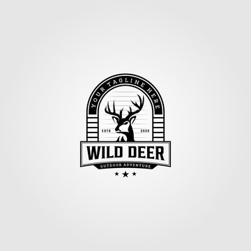 vintage wild deer logo vector illustration design