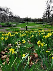 Obraz premium Spring in the park. Avenham and Miller Park, Preston 