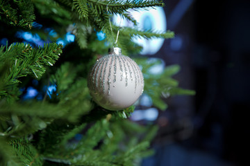 New year background decorations Christmas tree green nature Christmas pink and silver ball . Silver color hangs on a branch of a New Year's fir-tree . Branches Christmas lamp ball .