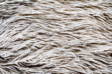 Close up of white wool carpet. Background, texture