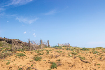 A beautiful landscape of coast dunes in a sunny day                                         