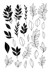 Trendy vector foliage drawings in linear style. Black elements of hand drawn greenery branch and leaves. Line and silhouette. Perfect logo for your brand: packaging, cosmetic, jewelry, shops, magazine