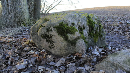 stone