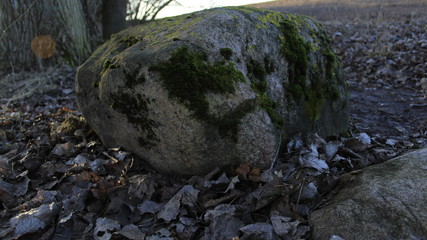 stone