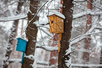 Birdhouses on the trees in snowy winter