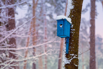 Birdhouses on the trees in snowy winter