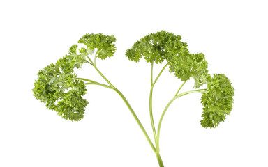 Parsley isolated on white