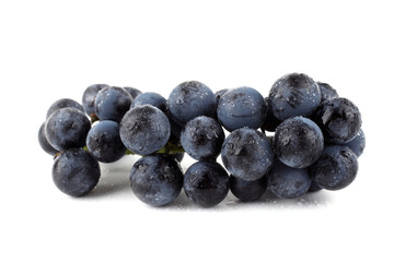 Wine grape isolated on white