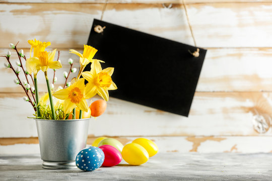 Easter background of free space for your decoration and fresh flowers 