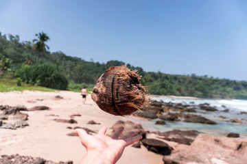 Fototapeta na wymiar coconut hovering above a hand