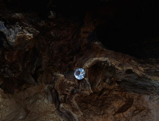 A Single Diamond on the Arm of a Dead Tree Stump, with a Blurred Background of Wood Knot Swirls and...