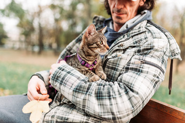 Obraz premium Owner holding cute, striped cat inside his jacket, outdoors photo