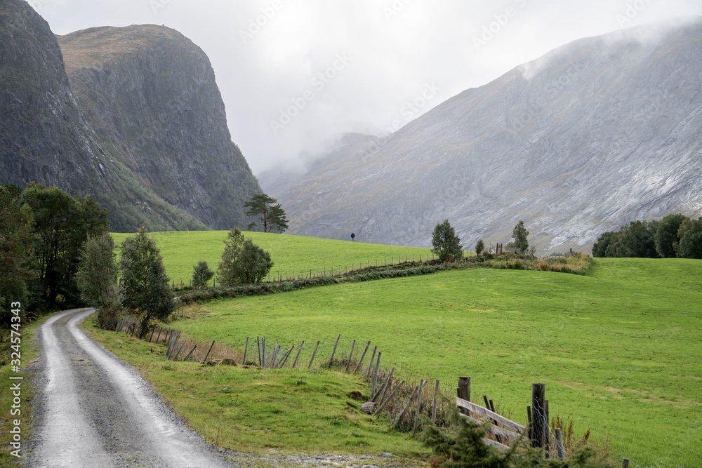 Wall mural road leading to mountain scenery