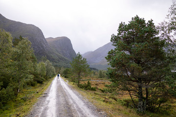 road leading to mountain scenery