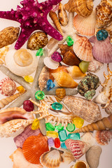 Tropical background of beautiful shells on a white background. Scattered seashells, starfis, emeralds and gems. Tropical background.