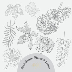 Set of hand drawn tropical flowers and leaves vector in black and white styles.