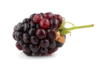 Blackberry isolated on white