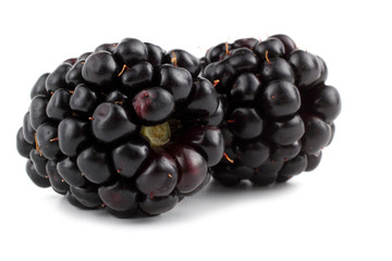 Blackberries isolated on white