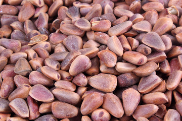 Cedar nuts background