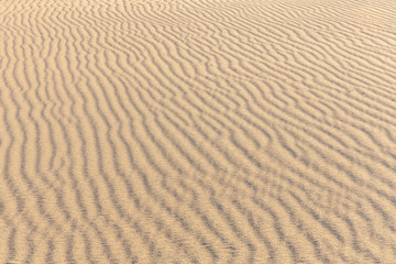 Sand Texture. Background from fine sand. Sand background. selective focus