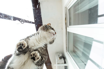 Fototapety na wymiar - Fototapeta24.pl