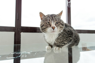 Fototapety na wymiar - Fototapeta24.pl