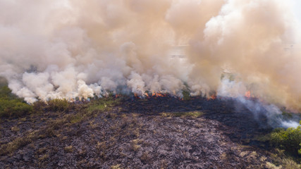 Aerial view   Fire in the forest burning trees and grass Natural fires