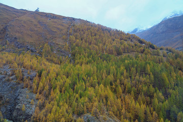 View of landscape furi mountain in autumn season from cable car in zermatt, swiss