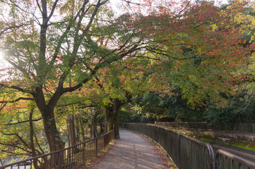 Lake Biwa Canal, Yamashina-ku, Kyoto