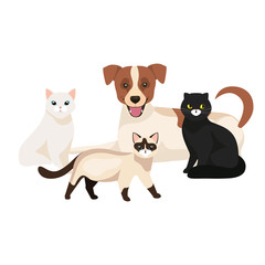 group of cute cats with dog isolated icons vector illustration design