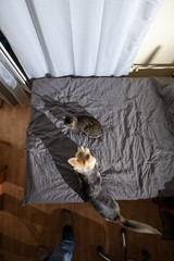 Fototapety na wymiar - Fototapeta24.pl