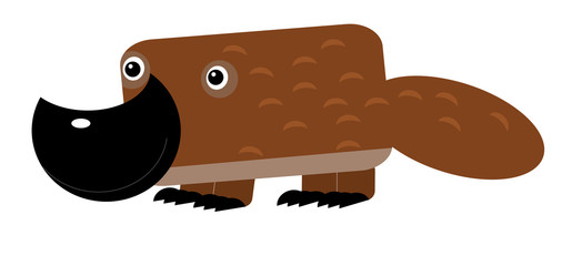 cartoon australian scene with happy and funny platypus on white background - illustration