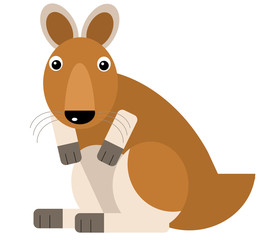 cartoon australian scene with happy and funny kangaroo on white background - illustration