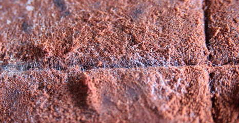 Close-up of white mould on chocolate.Fungus on cocoa powder.Texture.