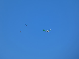 Aereo
